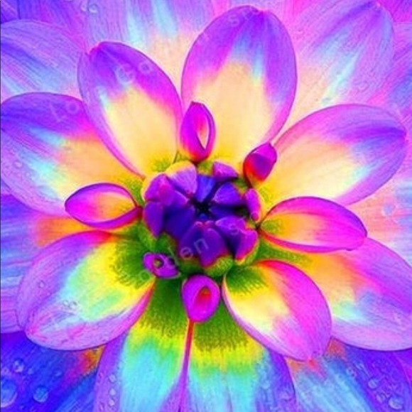 Meet your Posher, Daphne - Picture 1 of 1